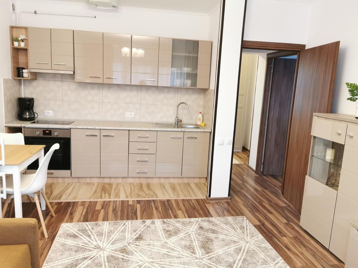 Charming Apartment In Villa Iasi Eksteriør bilde